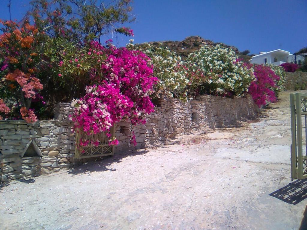 Eva Villa Mylopotas Exterior photo